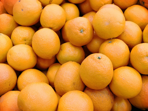 Électricien Orange